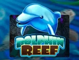 Dolphin Reef